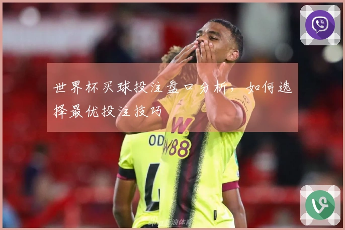 世界杯买球投注盘口分析，如何选择最优投注技巧