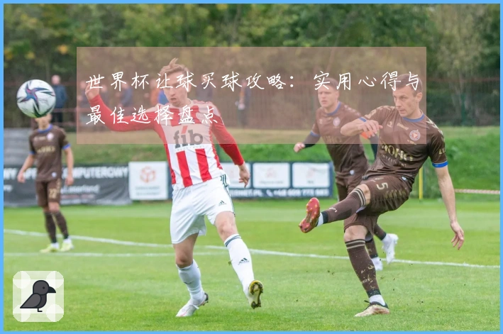 世界杯让球买球攻略：实用心得与最佳选择盘点